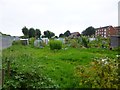 Bridport, allotments