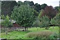 Mid Devon : Grassy Field