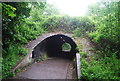 TQ2936 : Tunnel, Worth Way by N Chadwick
