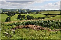SS9108 : Mid Devon : Countryside Scenery by Lewis Clarke