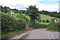 Mid Devon : Country Road