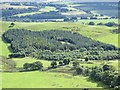 Lawhill Community Woodland