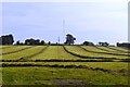 Farmland and mast on Butter Hill