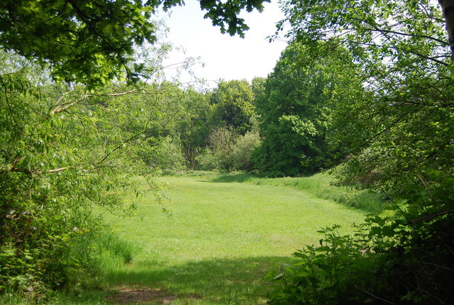 Field by Powdermill Lane