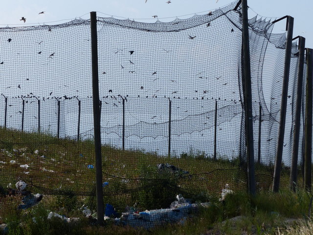 Netting at the waste disposal landfill site