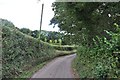 Mid Devon : Country Lane