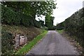 Mid Devon : Country Lane