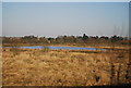 Doxey Marshes