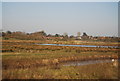 Doxey Marshes & River Sow