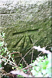 SY5292 : Benchmark on St Michael's Church by Roger Templeman