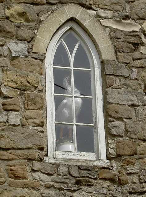 A cockerel at the window