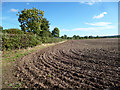 Ploughed Corner