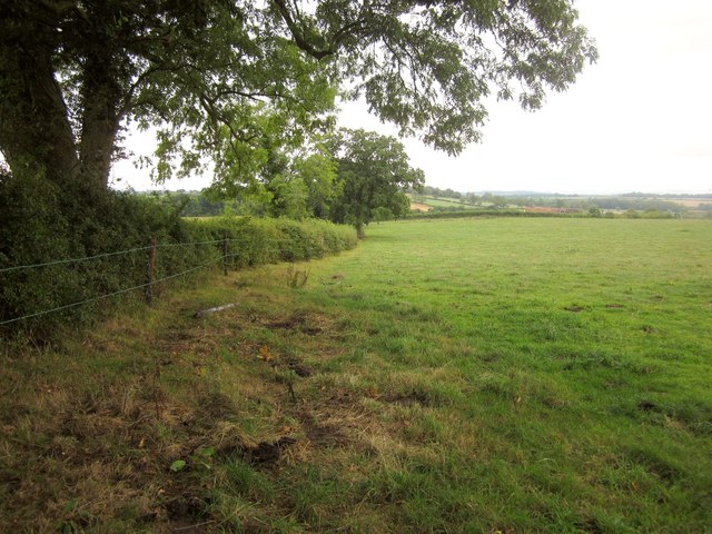 Field near Stowell