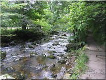 SD6973 : River Twiss in Swilla Glen by G Laird