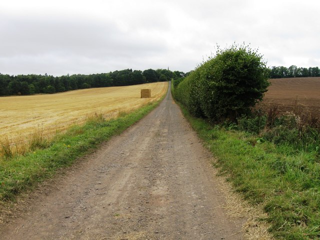 Track north of Mains of Gray