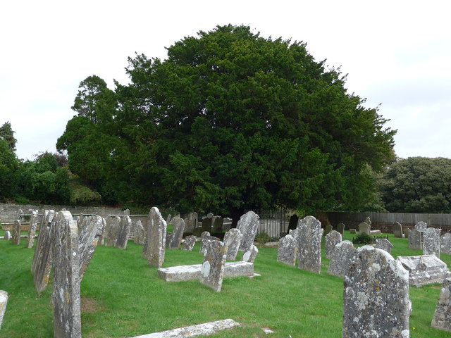 St Mary, Carisbrooke: churchyard (j)