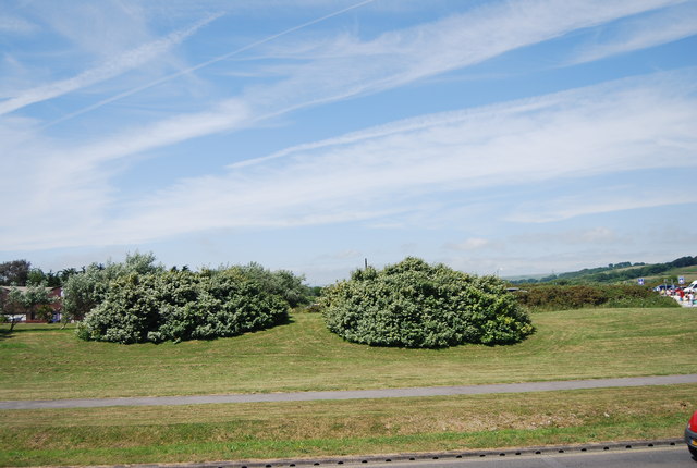 Bushes, Lodmoor Country Park