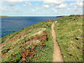 SM7124 : On The Pembrokeshire Coast Path by Tony Atkin