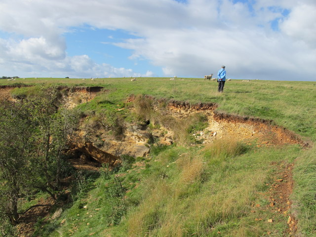 Strata at edge of disused limestone quarry, Bredon Hill