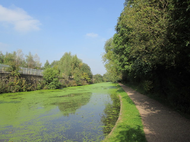 Erewash Canal near Trowell