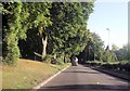 Romsey Road from Battery Hill Road