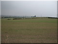 Farmland near Billingley