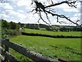 The road to Ty Coch Farm