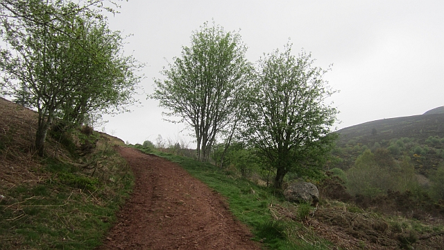 Path, Eildon Hills