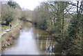 Basingstoke Canal