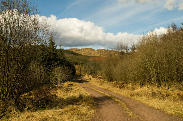 The road to Mochrum Fell