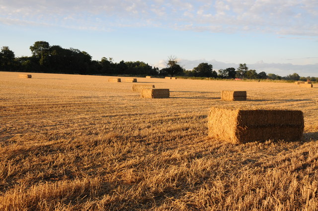 Straw bales at Earl's Croome