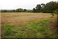 ST7023 : Field at Horsington by Derek Harper