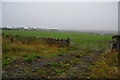 Green fields on the edge of Kirkwall