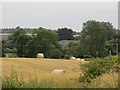 Round bales on the edge of Cupar