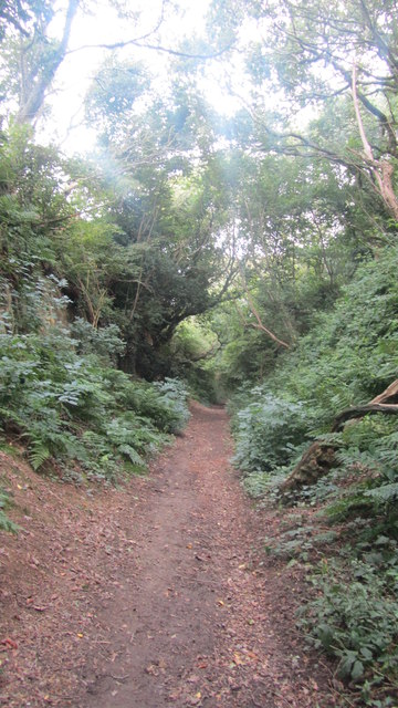 Hollow Lane footpath