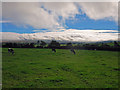 View towards the Preseli ridge