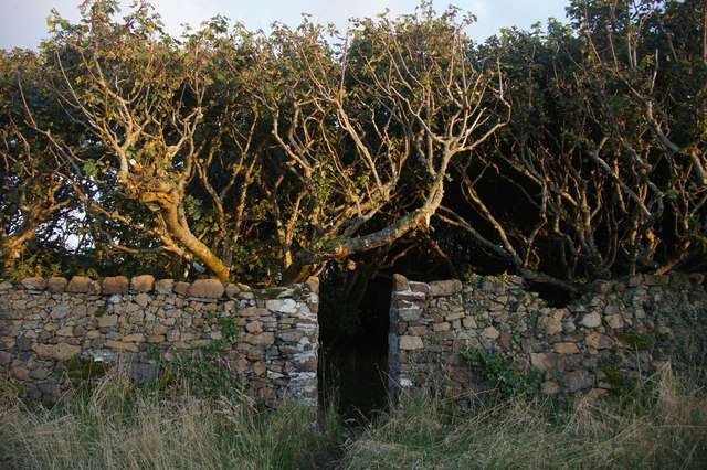 Gate to the graveyard at Halligarth, Baltasound