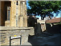 Some welcome shade in Church Lane