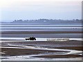 NY2064 : Early morning on the Solway tidal flats by Oliver Dixon