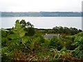 Looking down on Sunadale Cottage