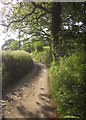 Lane near Dunsley Farm