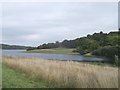TQ6632 : Bewl Water Reservoir and Greenwoods Wood by David Anstiss