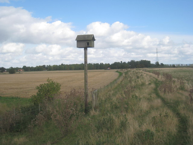 Owl box and the Ouse flood bank