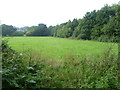 TQ1764 : Field near Mansfield Road, Chessington by Marathon