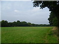 Field on the edge of Chessington