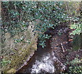 Gors-fawr Brook between Waunarlwydd and Gowerton