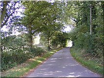 TG1520 : School Road, Haveringland by Geographer