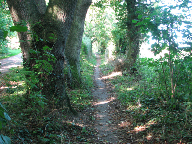 Path to Rockland St Mary