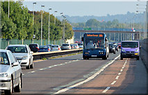 J3675 : The Sydenham bypass, Victoria Park, Belfast (2) by Albert Bridge