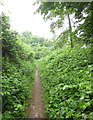 Footpath near Elmlea schools